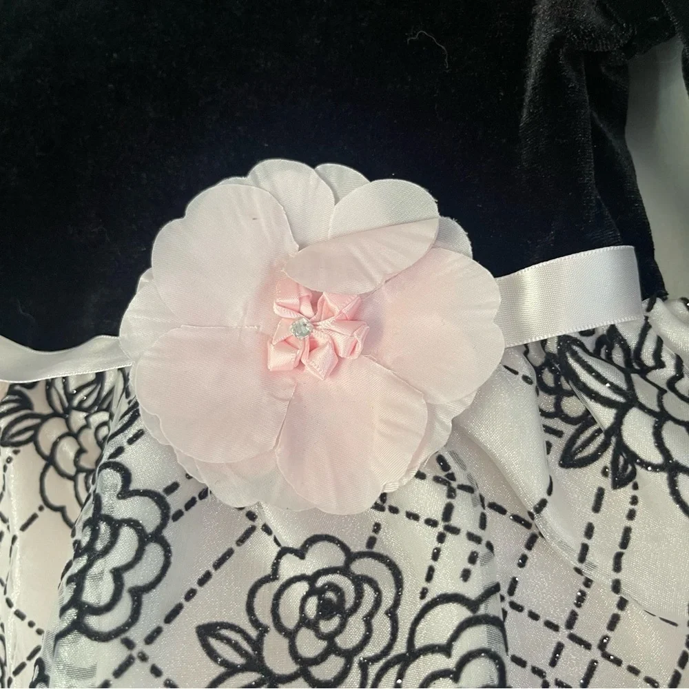 NWT Iris & Ivy Longsleeve Baby Doll Dress‎ Size 24 Months Velvet Floral 2pc